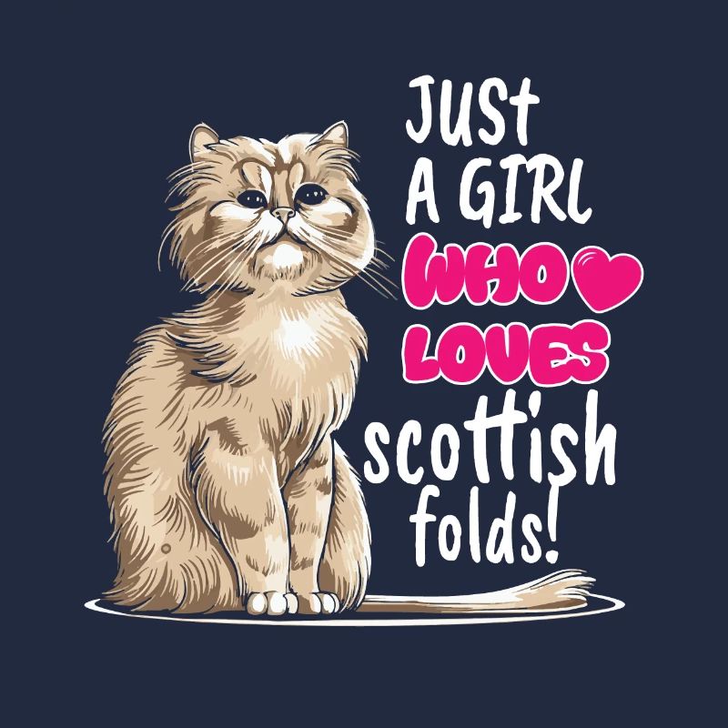 Scottish Fold Cat