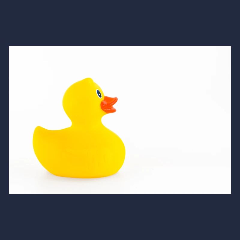 Isolated rubber duck