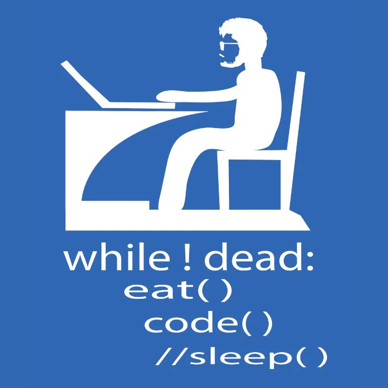 Softwareentwickler Programmierer Geschenk