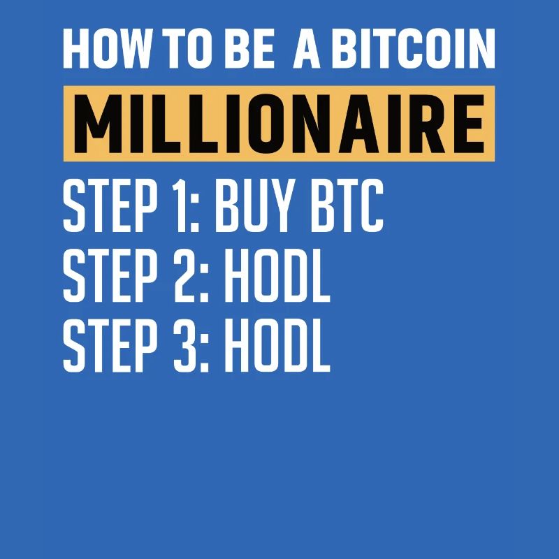 Bitcoin Plan B BTC Satoshi Krypto Hodl Maximalist