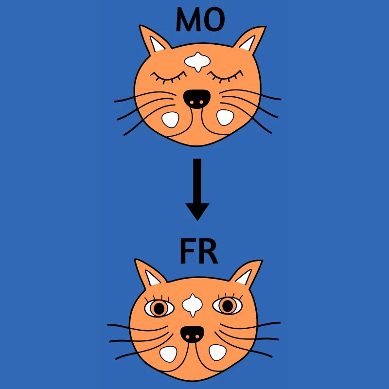 Montags bis Freitags