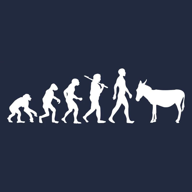 Evolution âne mule animal cadeau idée