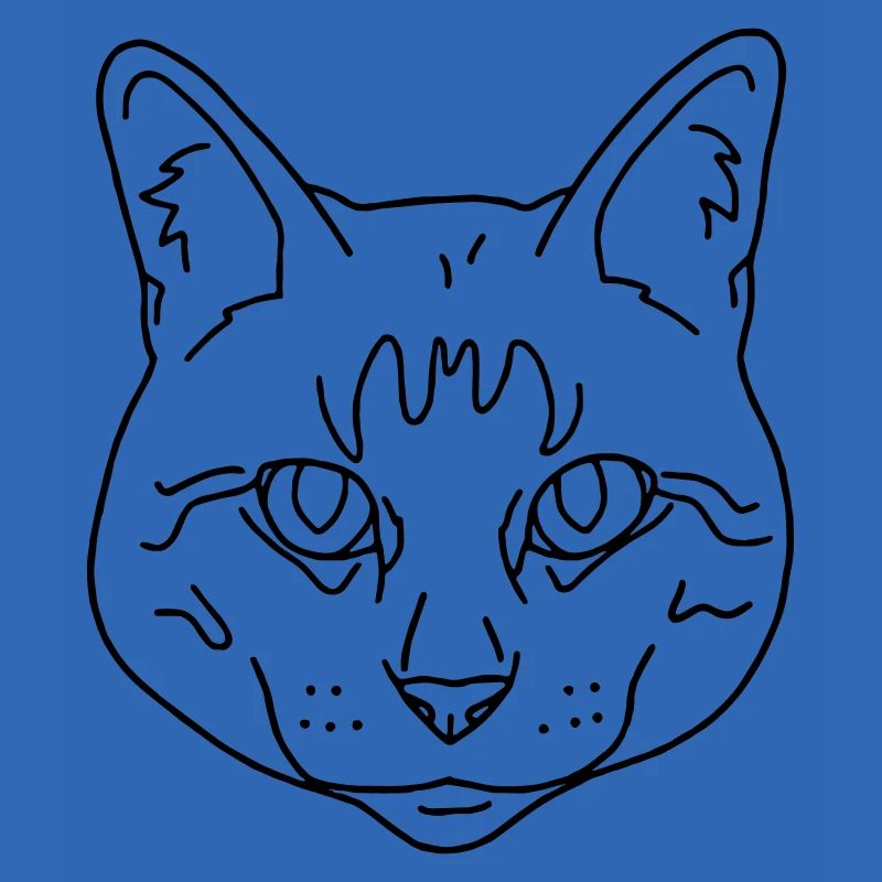 chat
