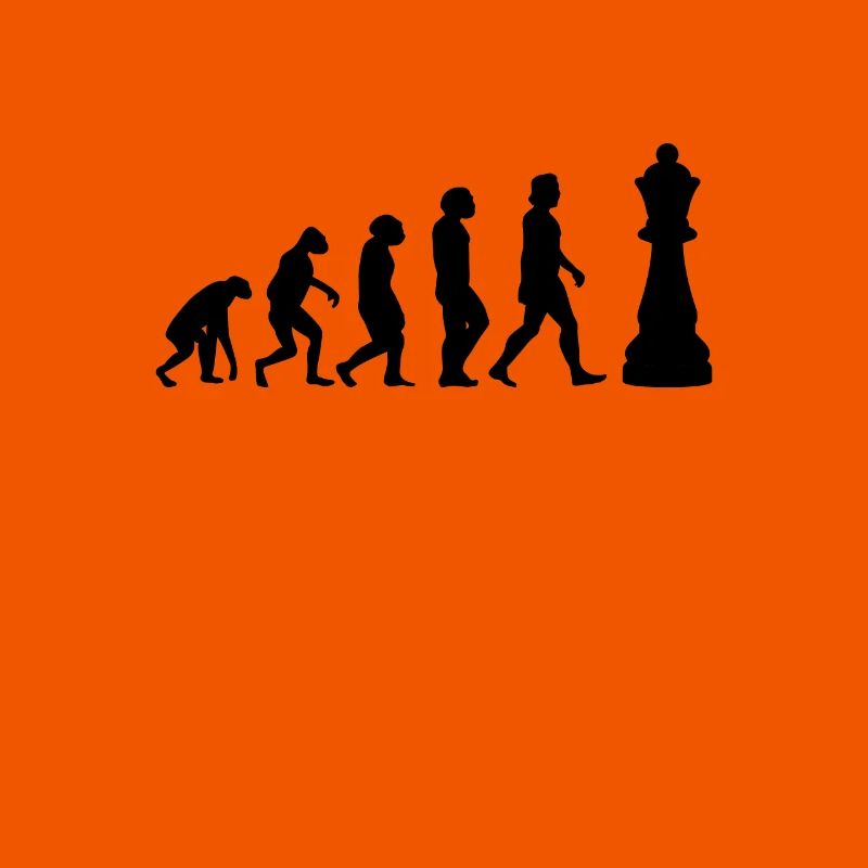 ÉCHECS JEU D’ÉCHECS Chess Evolution