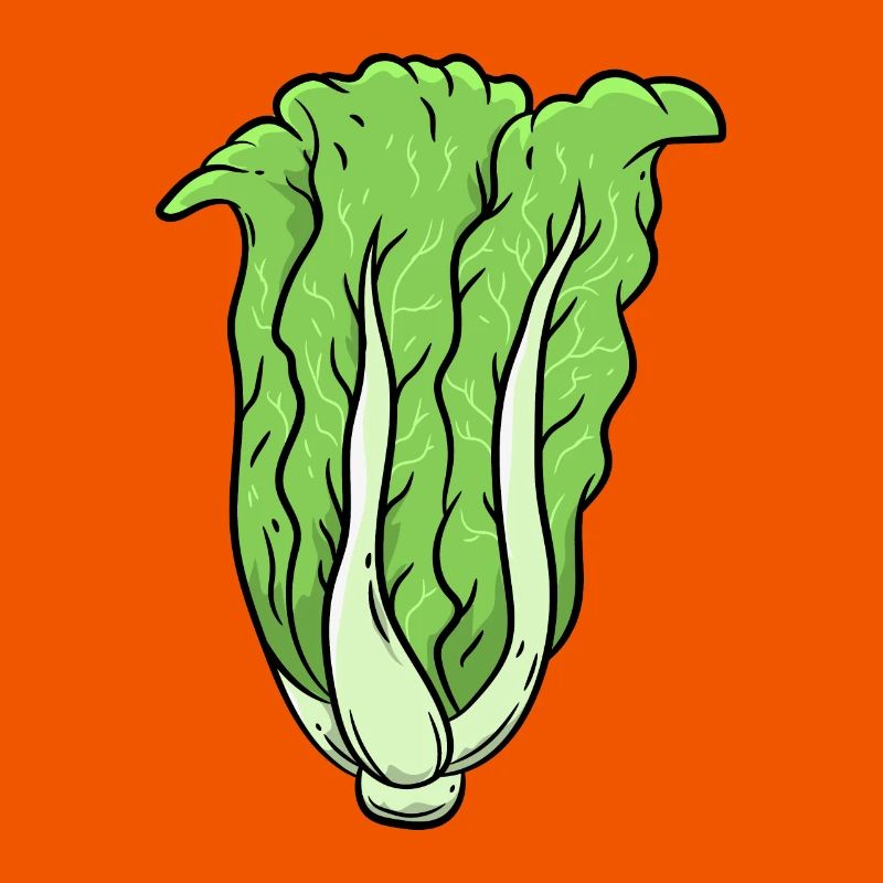 Cabbage Vegetables
