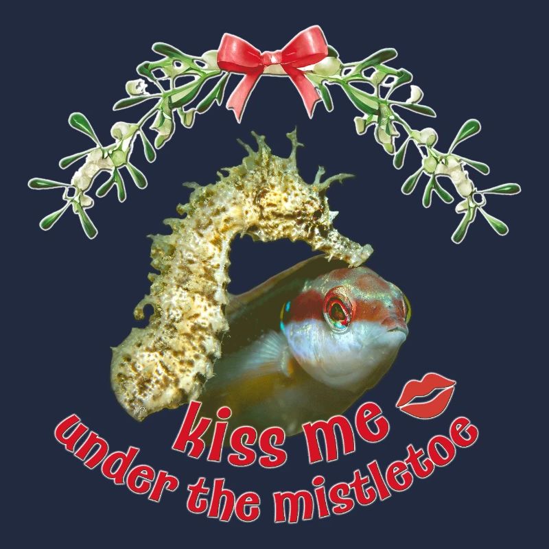 Baiser de gui – Salutations de Noël en mer