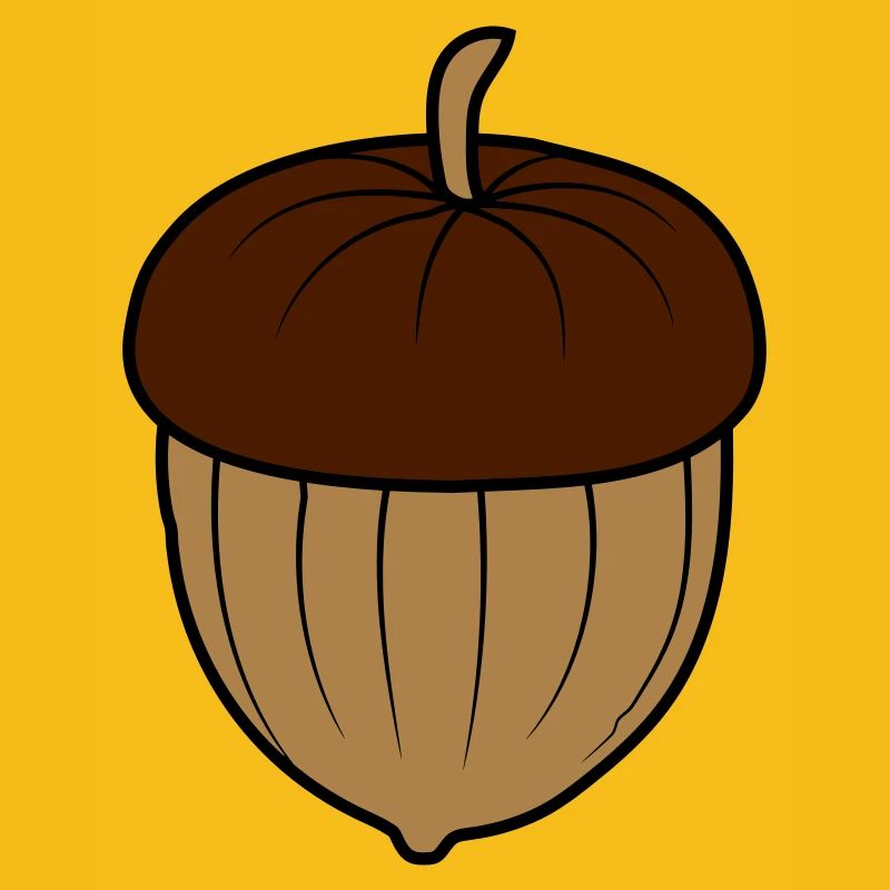 Conception de noix de gland