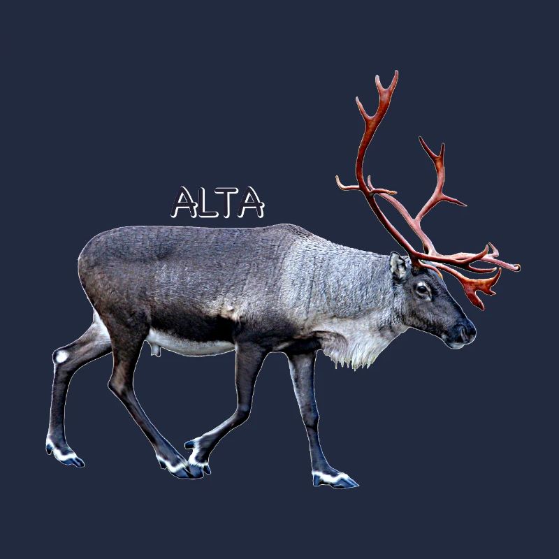 Alta