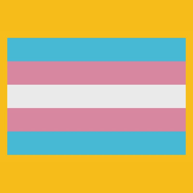 Drapeau trans
