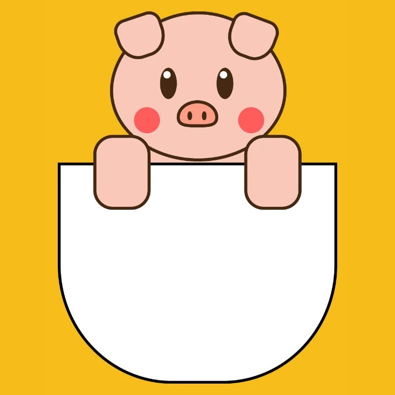 Mignon poche cochon idée cadeau
