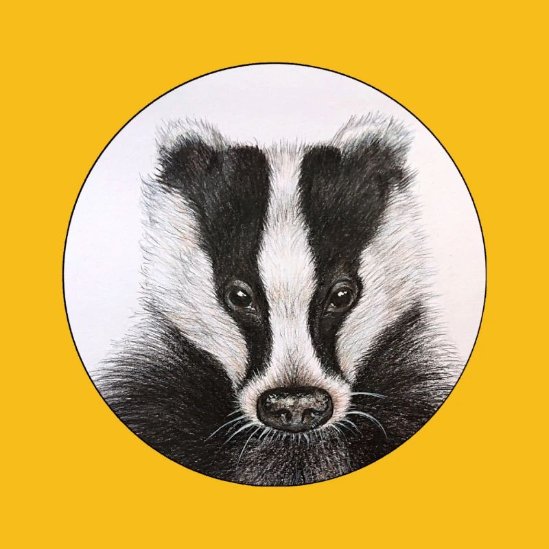 Dachs /Badger