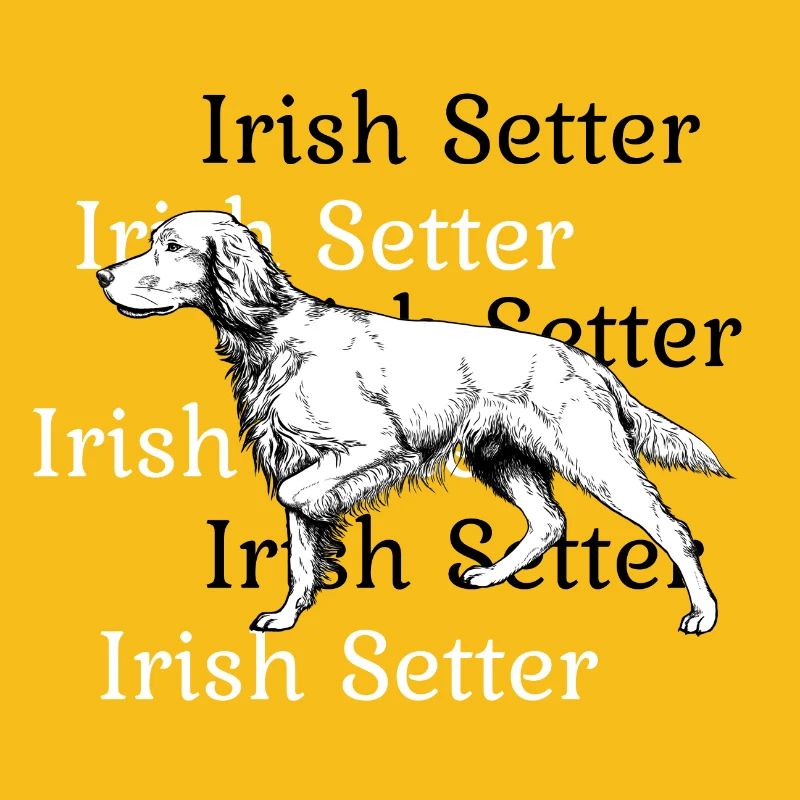 Irish Setter above