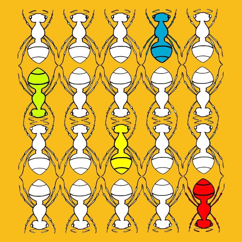 Ants