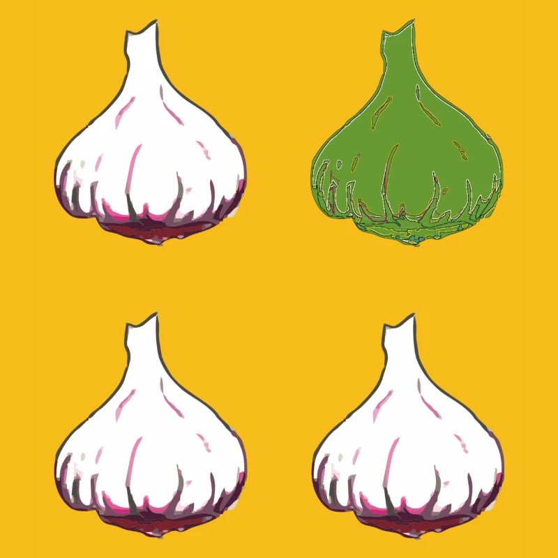 knoblauch 4er