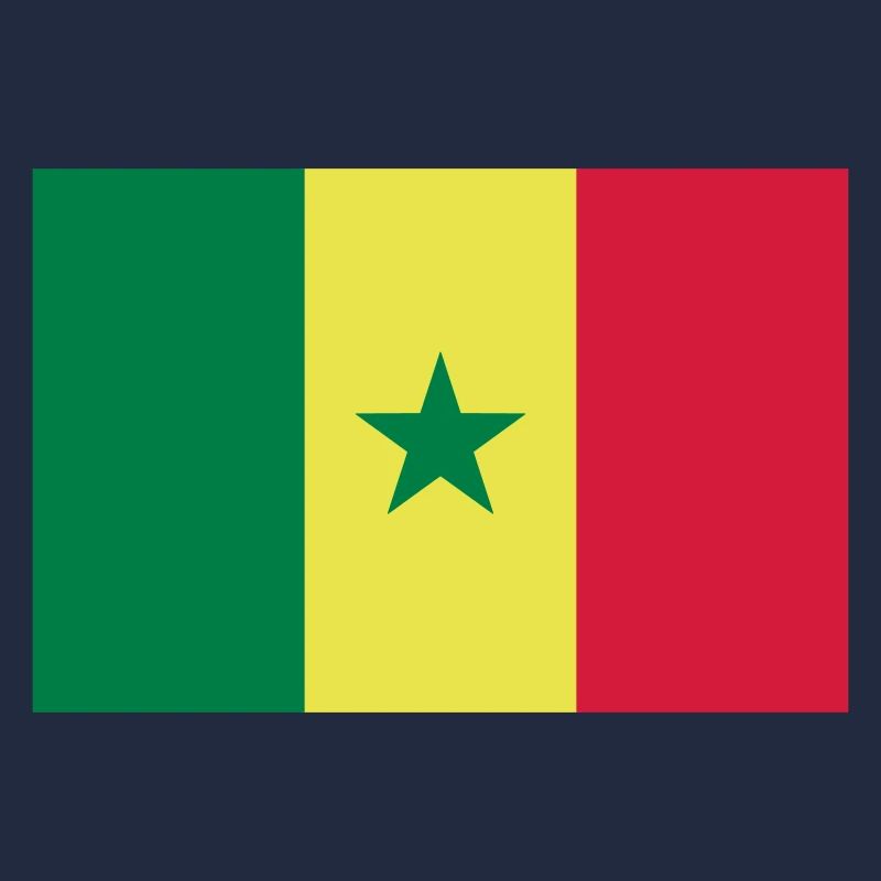Drapeau Sénégal / Senegal flag
