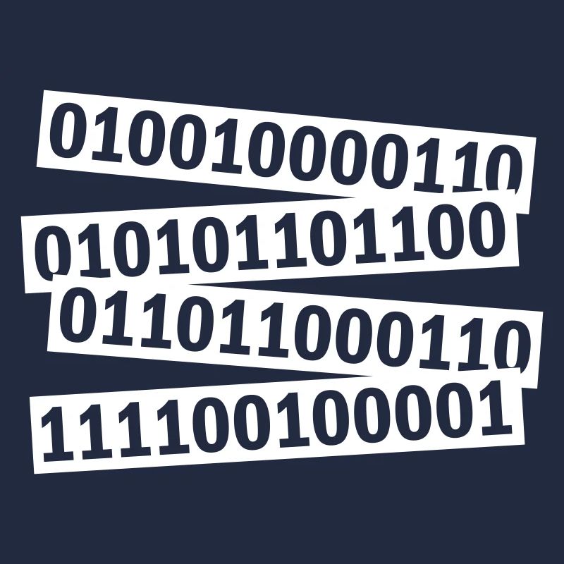 Binary Code Program Language