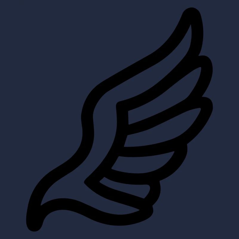 Ailes d'ange