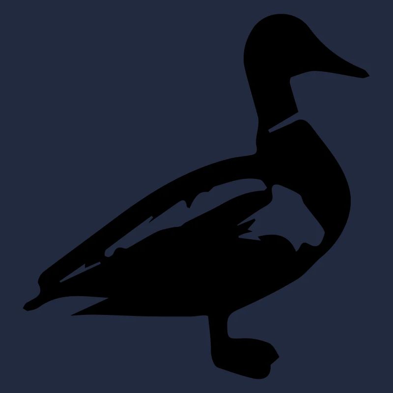 Canard canard colvert
