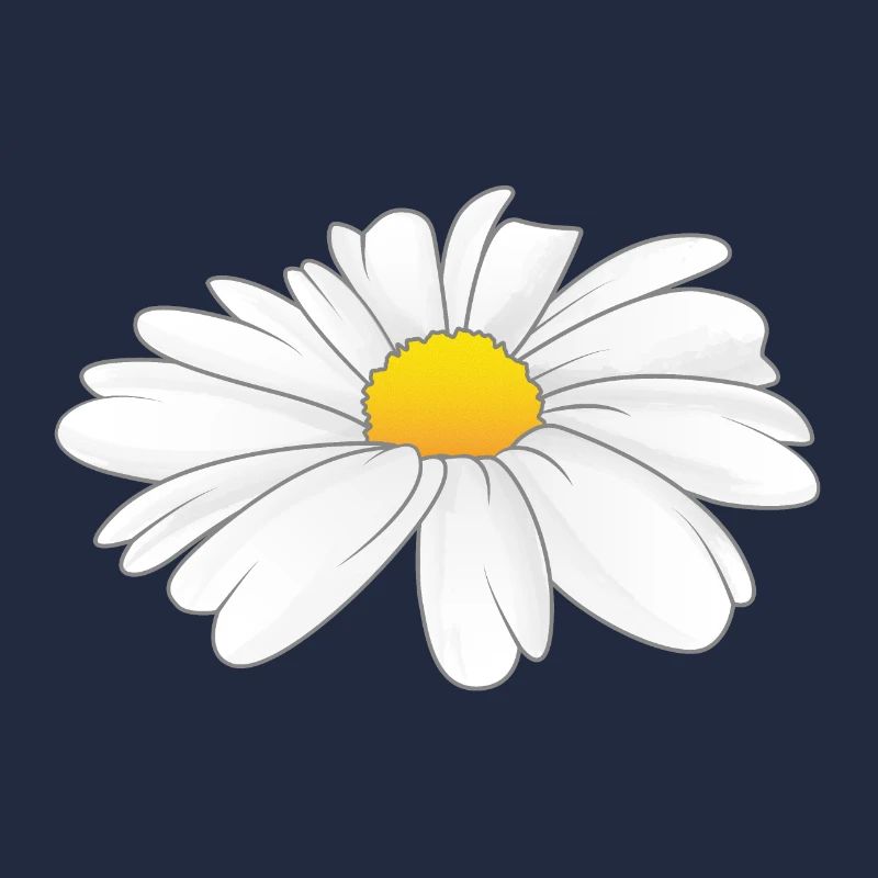 Gänseblümchen