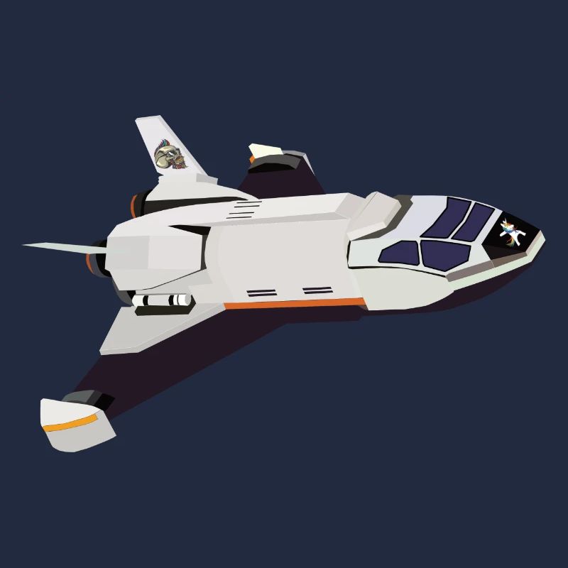 Space Shuttle Flug