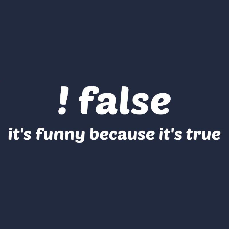 False It's Funny Because It's True Programmer Comp