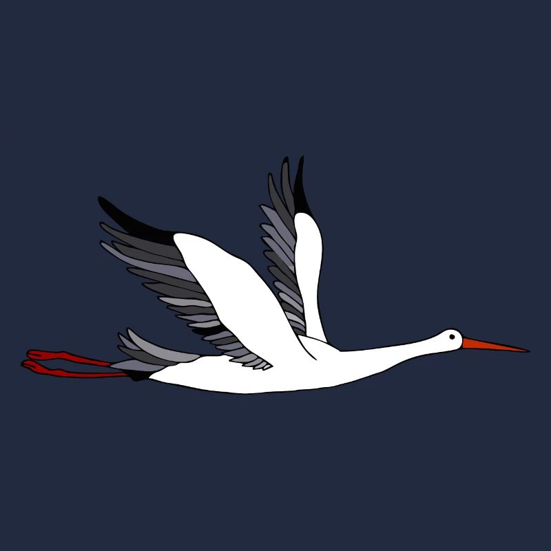 Storch