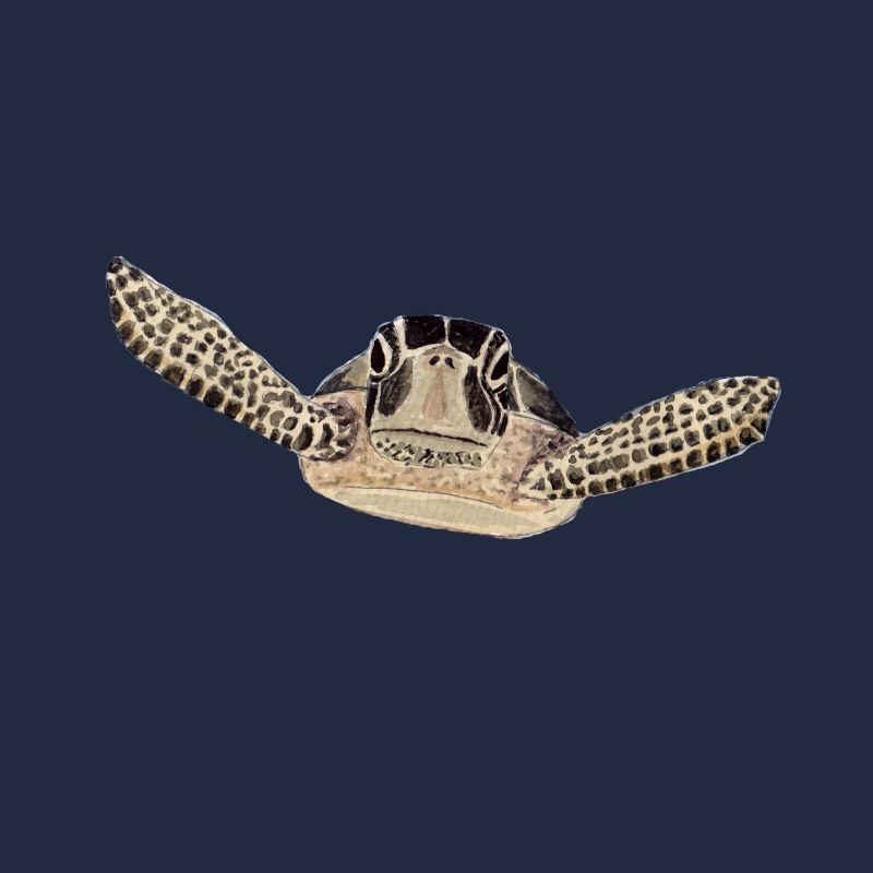 tortue 2