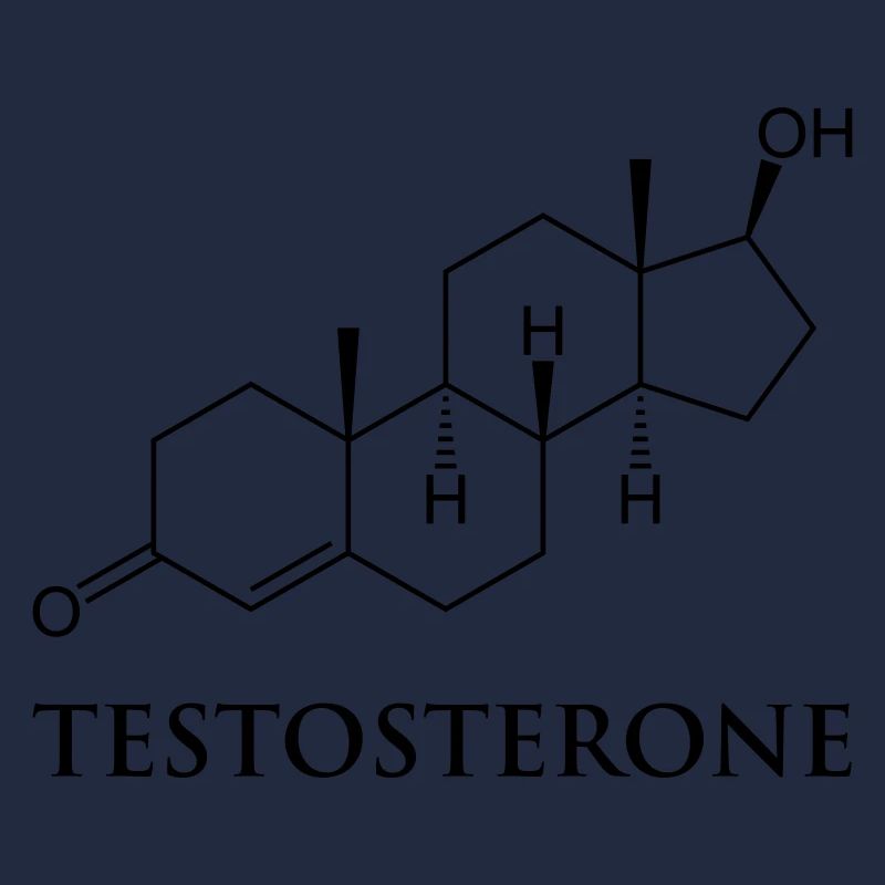 testostérone