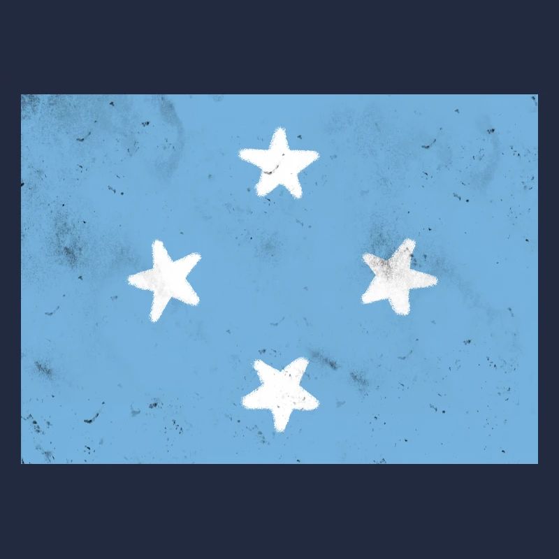 Drapeau de la Micronésie