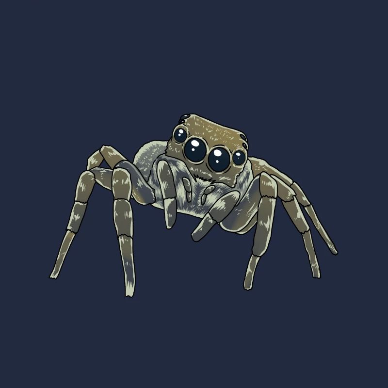 Horreur Spider Phobia Panic Spider Halloween