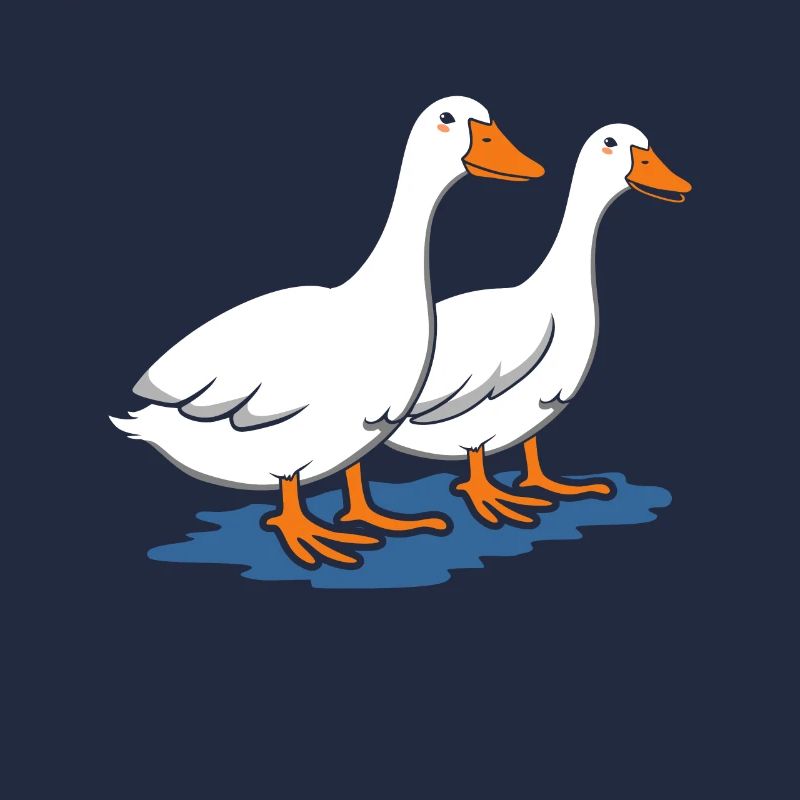 Ducks