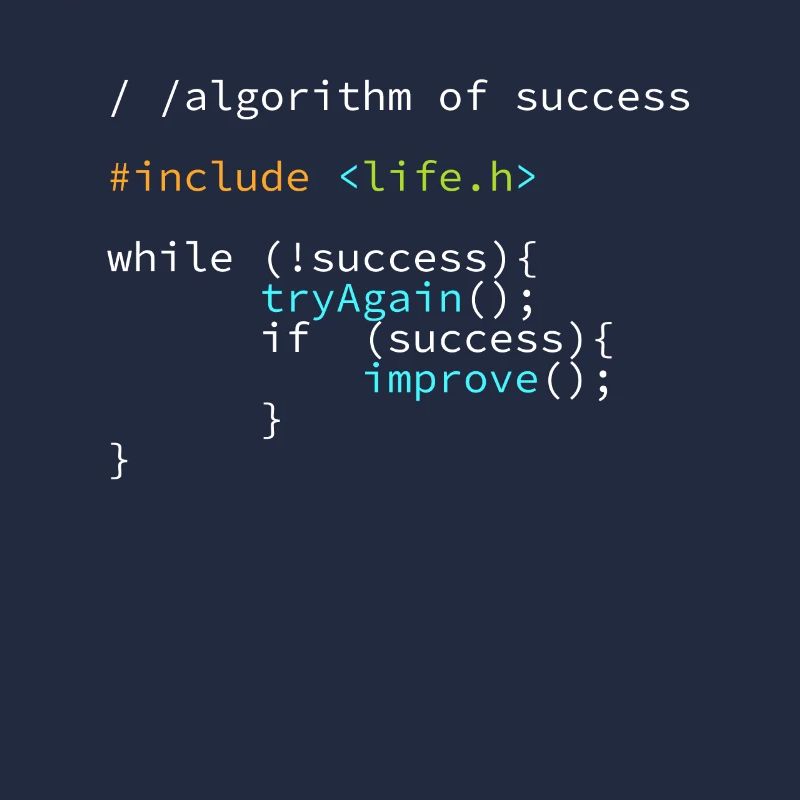 Entwickler Programmierer Erfolgs Code Coder