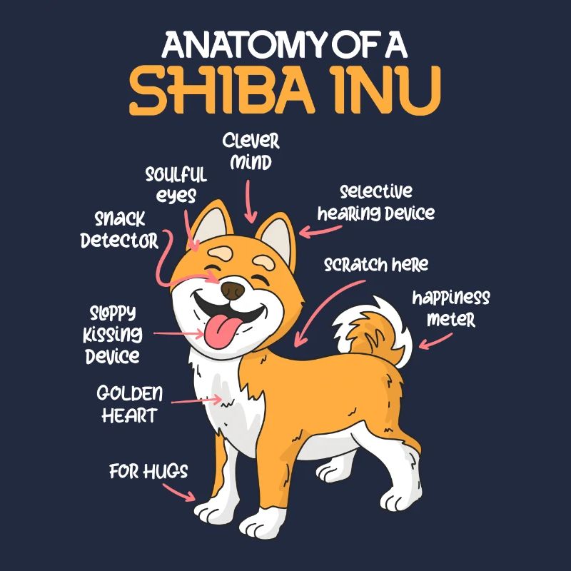 Anatomie eines Shiba Inu