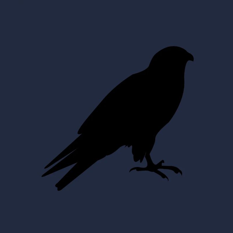 Vogel Silhouette Vögel