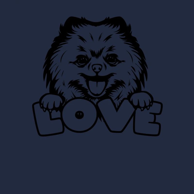 Spitz Pomeranian Zwergspitz Chien