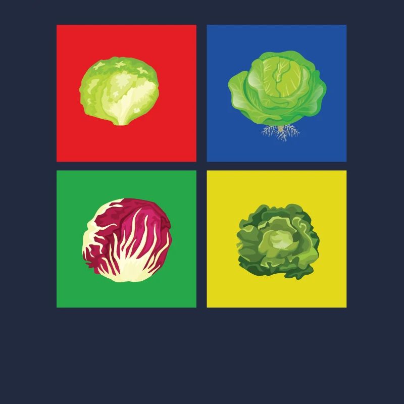 Cabbage