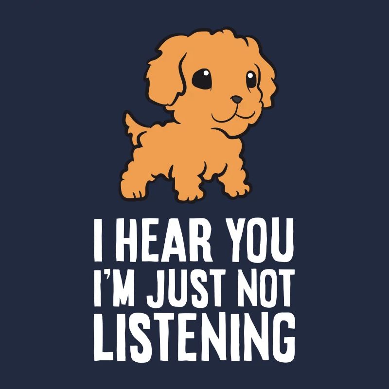 Cavapoo Ich höre dich, ich höre nur nicht zu