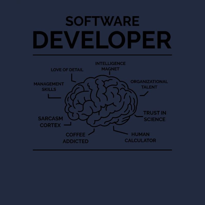 Software Entwickler