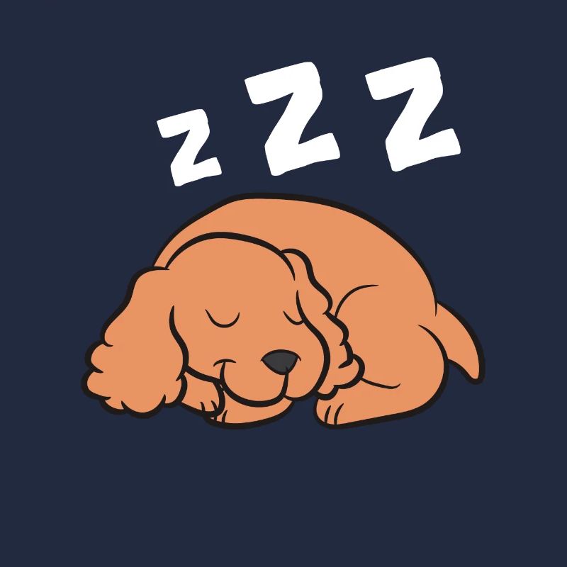 Cocker Spaniel Hund Schlafen Pyjama Cocker