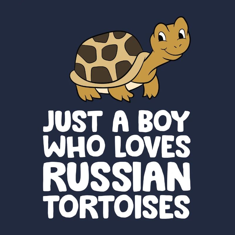 Nur ein Junge, der russische Landschildkröten