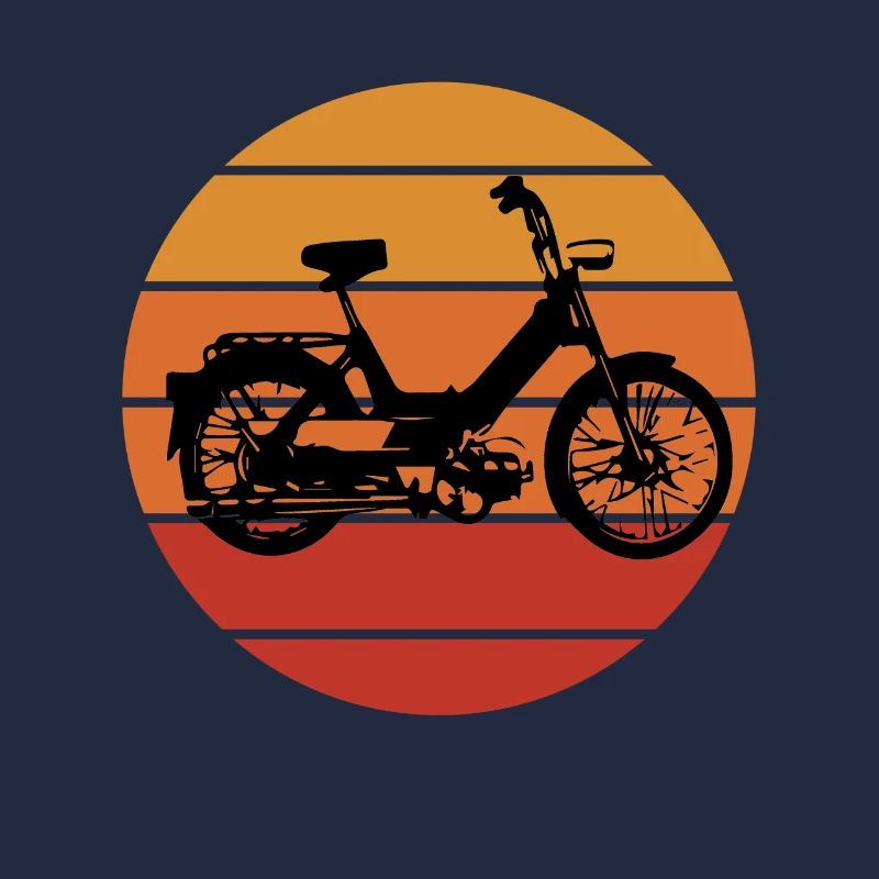 DDR Mobylette Oldtimer Roller Mofa Scooter 2 Takter