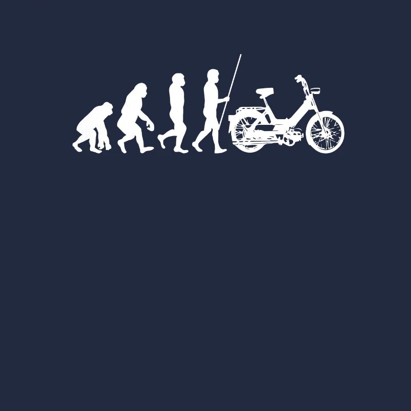 DDR Mobylette Oldtimer Roller Mofa Scooter 2 Takter