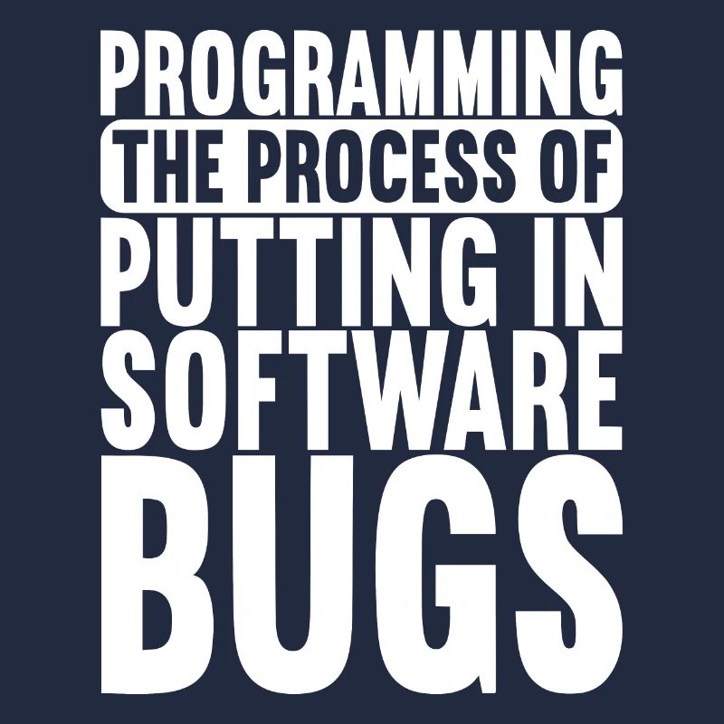 Programmierer Informatiker