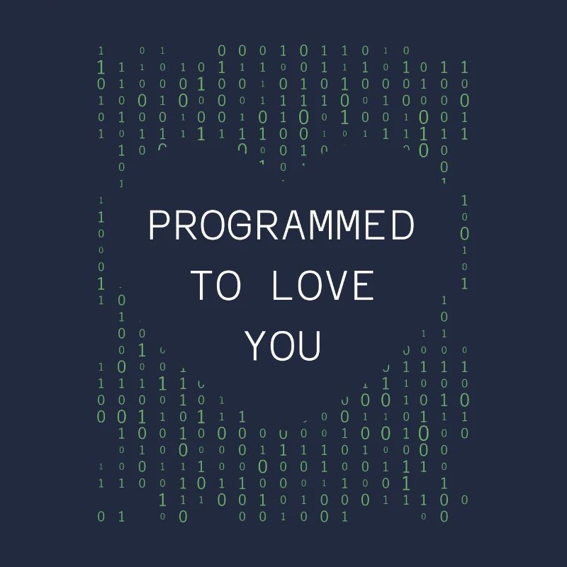 Developer Coder Programmer