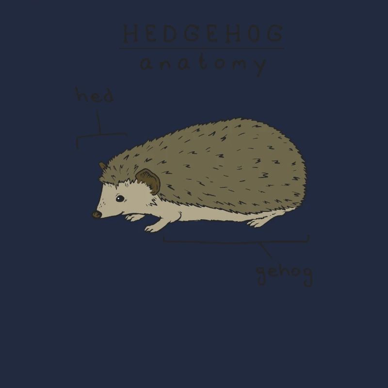 Hérisson animal de compagnie