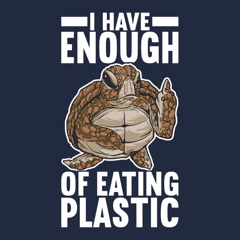 Angry Turtle