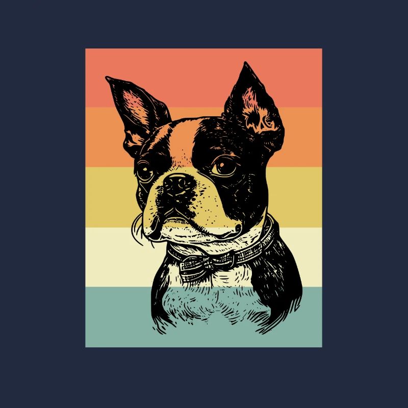 Boston Terrier