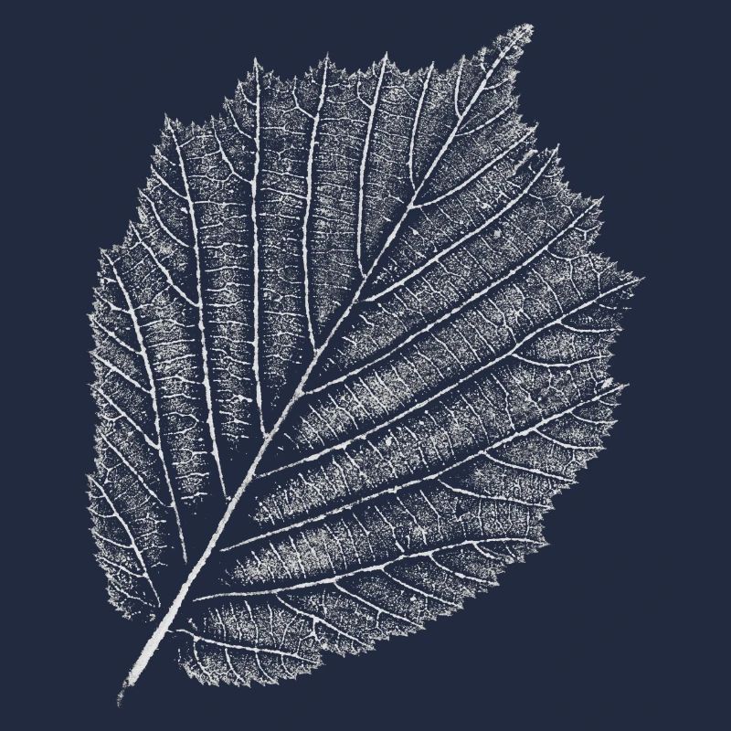 Leaf / Hazel / Hazelnut