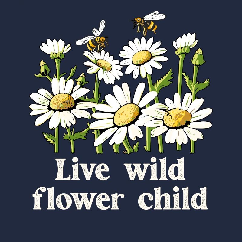 Margeriten Gänseblümchen Sommer Gänseblümchen Blumengarten