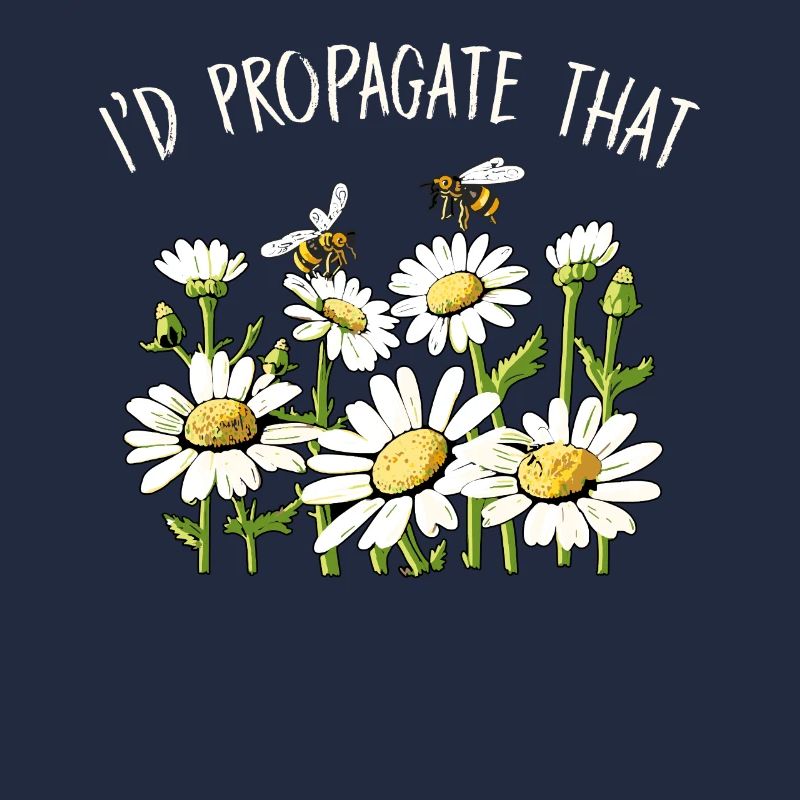 Margeriten Gänseblümchen Sommer Gänseblümchen Blumengarten